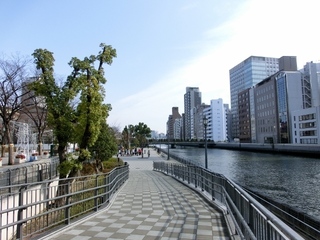 CIMG4483 (640x480).jpg