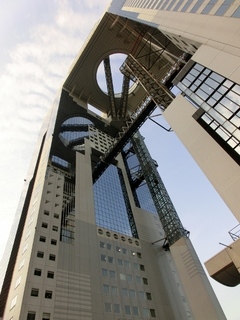 CIMG4524 (480x640).jpg