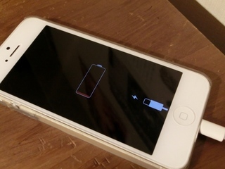CIMG4832 (640x480).jpg