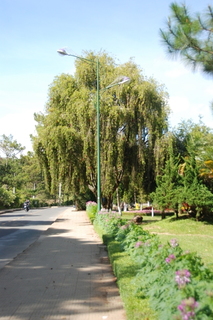 DSC_0268.JPG
