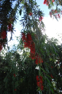 DSC_0277.JPG