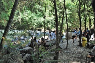 DSC_0383.JPG