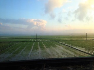 IMG_5013.JPG