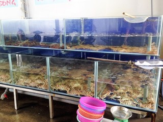 IMG_5060.JPG